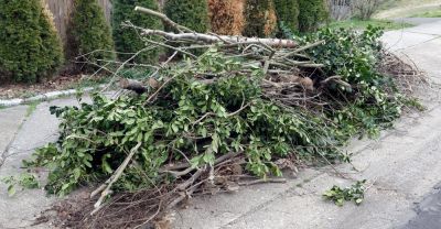 Clears yard debris