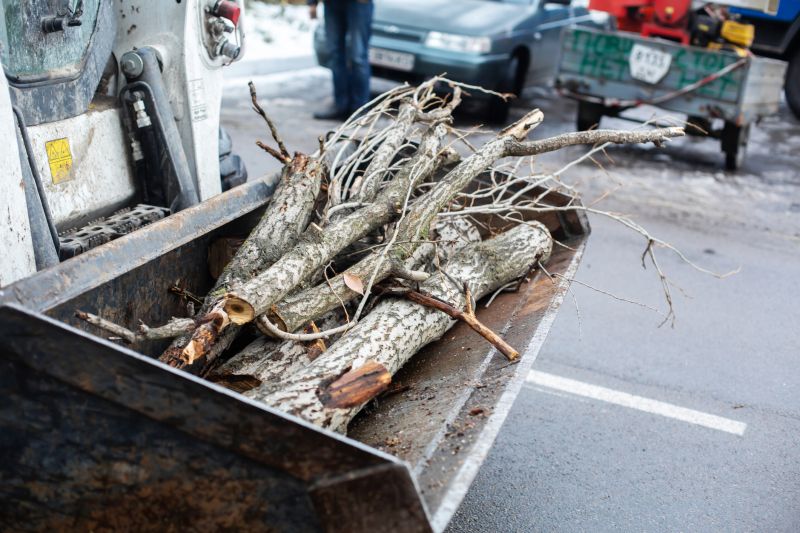 Branches Hauling